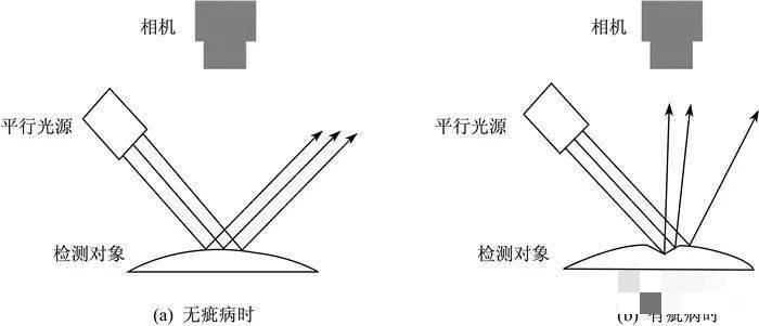 ueditor/img/1661132818100X2rp.jpeg